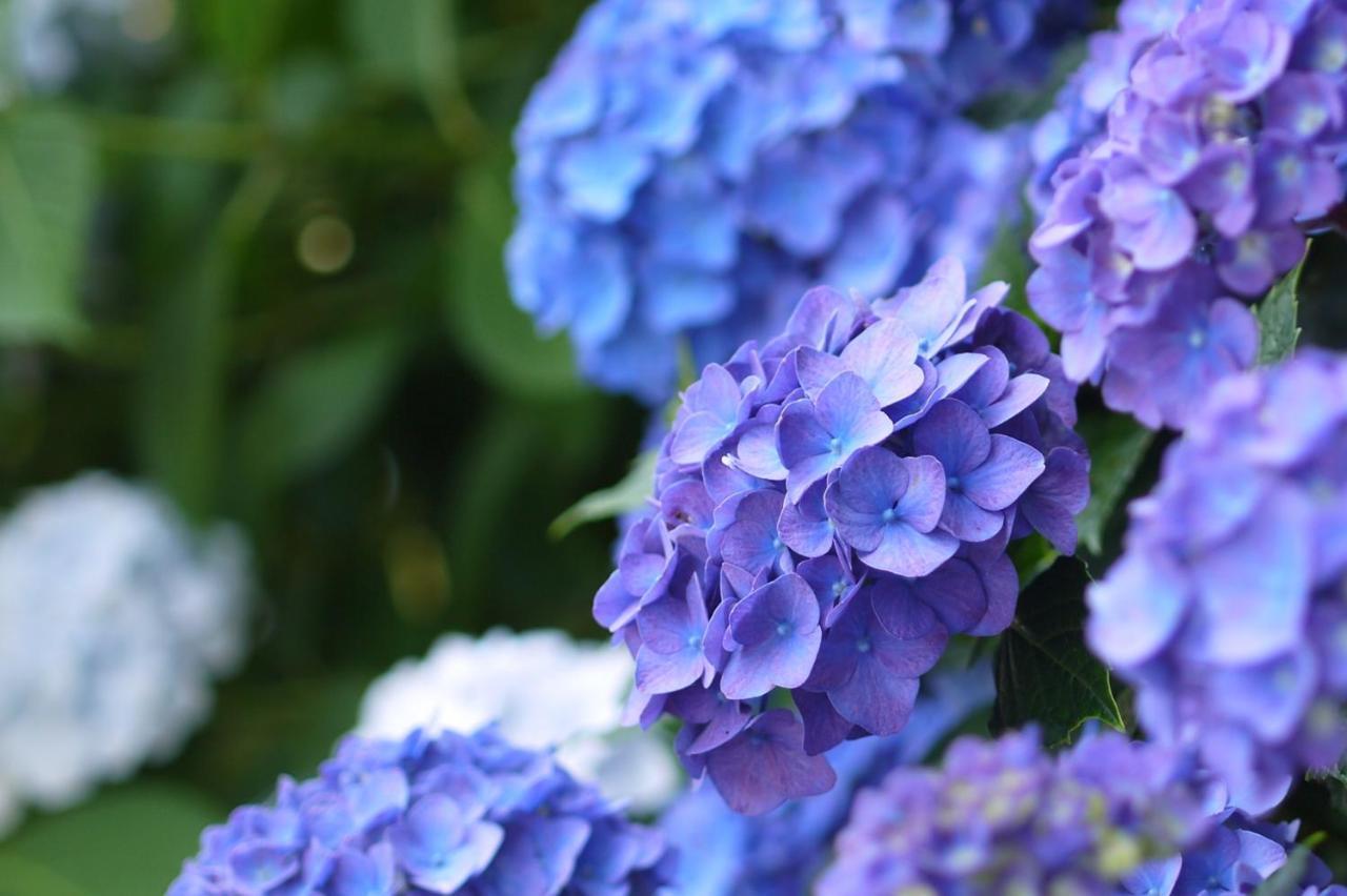 Appart hôtel Sakura Shinjuku Hyakukura 3*